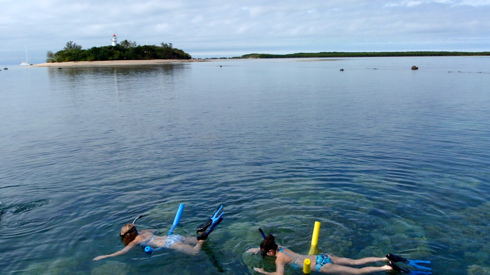 a group of people swimming in a body of water