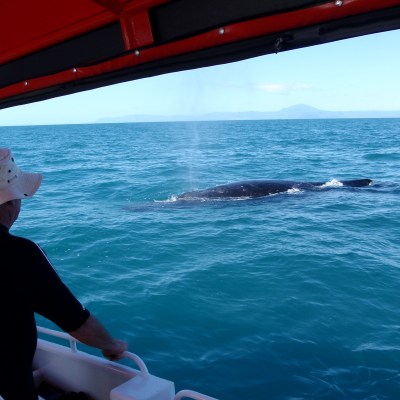 a man standing next to a body of water