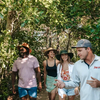 Group walking through a forest path, led by a guide, surrounded by lush greenery.