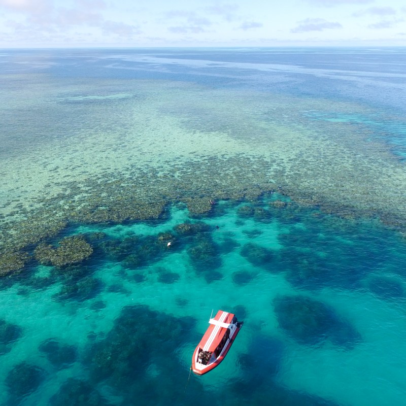 Aerial view of a red boat on clear turquoise ocean near a coral reef.
